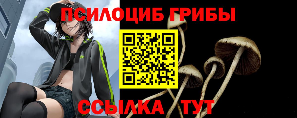 Псилоцибиновые грибы ЛСД  Вход с VPN  как найти закладки  Чистополь 